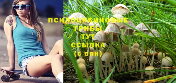 дживик Алексин