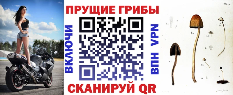 Галлюциногенные грибы ЛСД  мега ссылки  Белебей 